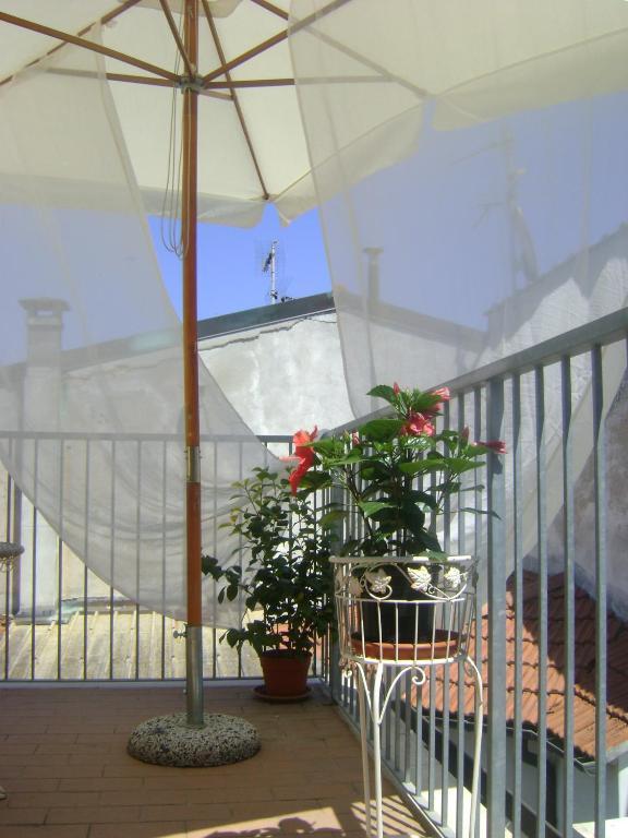 Hotel La Petite Maison Viareggio Eksteriør bilde